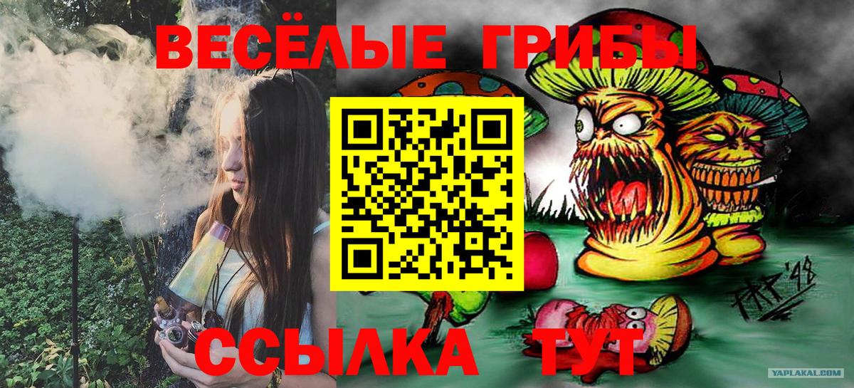 Галлюциногенные грибы мухоморы Балашов