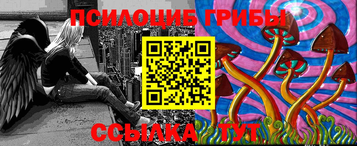 Псилоцибиновые грибы Psilocybe  Вход с VPN  Балашов 