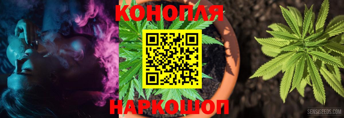 Балашов  Конопля сатива  Каннабис VHQ  Вход с VPN  Марихуана план 